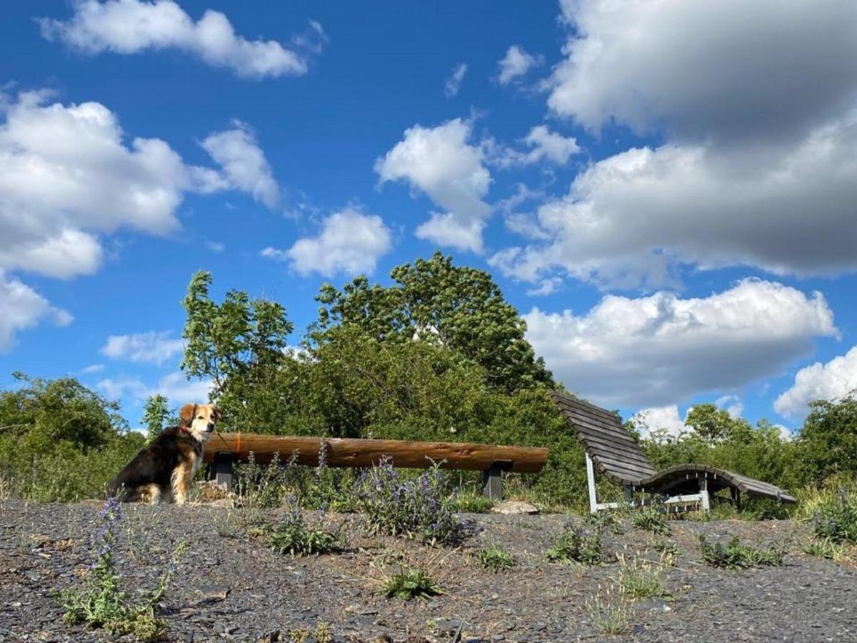 Polch Ferienwohnungen Bauernschmause מראה חיצוני תמונה